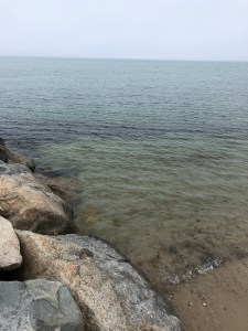 BF1AE2FB-4340-48CB-AF7E-A74325F1EC29