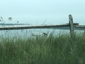 D34146A6-A31E-455D-97B2-FA4EA8A7470F