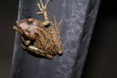 12049722_10206851501703580_7985078875090624526_n